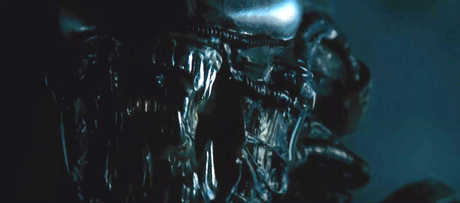 Alien14